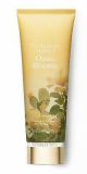 Victoria's Secret Tmc Oasis Blooms Body Lotion 236Ml Nb