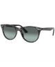 Ray Ban 0Rb21851250Ad55 Icons Grey Havana Acetate U Nb