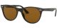 Ray Ban 0Rb21859025752 Icons Stripped Havana Acetate U Nb