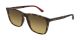 Gucci Gg0404S010 58 Man Injection Rectangular Square Havanahavanamulticolor Nb