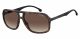 Carrera  For Him sunglasses with a HAVANA frame and BROWN SHADED POLARIZED lens with a lens width of 61mm and model number Carrera 8035/S